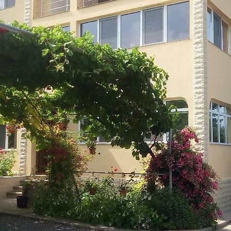 Vila Andre 2 Mai Bagian luar foto